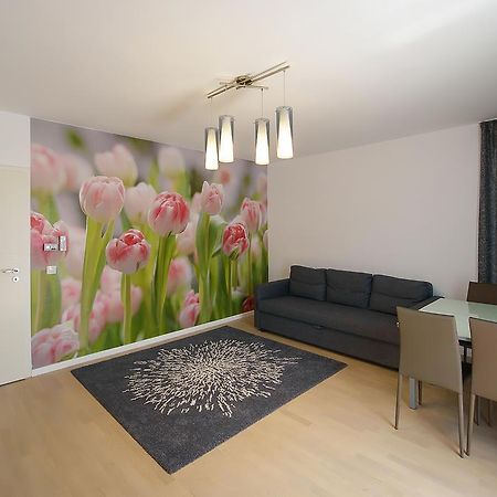 Apartamente Olivero براشوف المظهر الخارجي الصورة